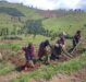 AGRICULTURAL SEASON 2027A PREPARATION